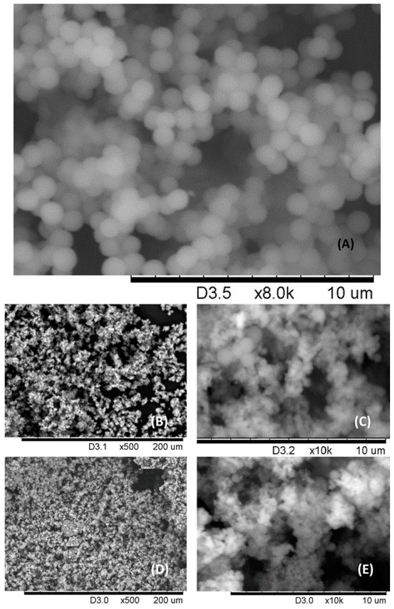 https://cdn.ncbi.nlm.nih.gov/pmc/blobs/8223/5666463/e18abf5c864a/nanomaterials-07-00298-g001.jpg
