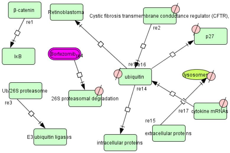 https://cdn.ncbi.nlm.nih.gov/pmc/blobs/8223/9963959/eb0c2ea5cbf7/vaccines-11-00267-g003.jpg