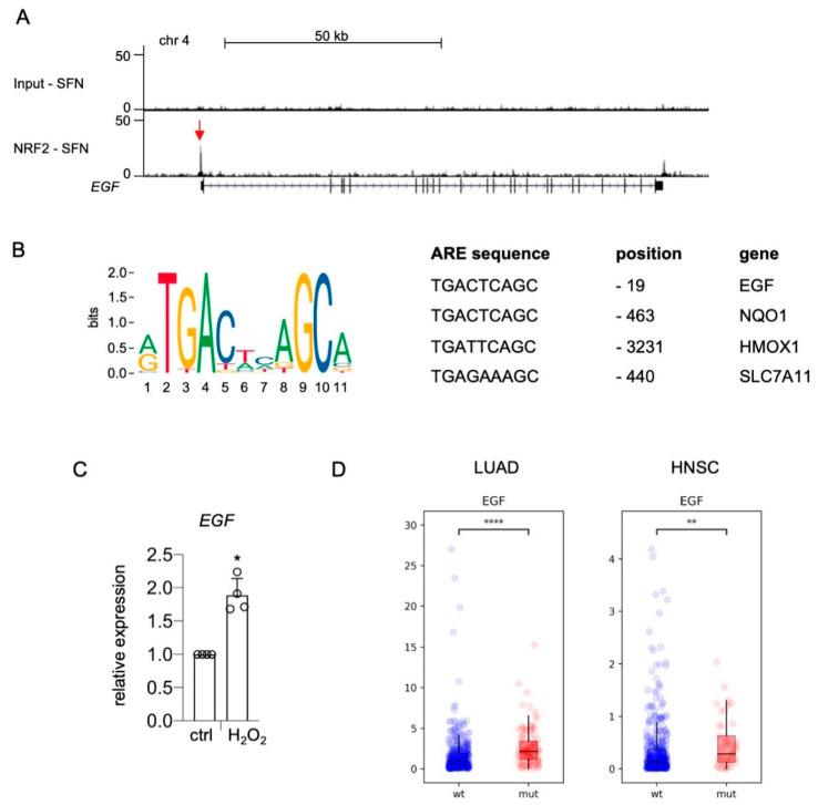 https://cdn.ncbi.nlm.nih.gov/pmc/blobs/8224/8067606/5868548b218d/ijms-22-03803-g002.jpg