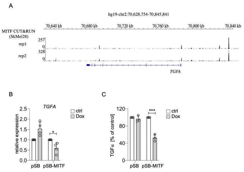https://cdn.ncbi.nlm.nih.gov/pmc/blobs/8224/8067606/cb24167c0791/ijms-22-03803-g004.jpg
