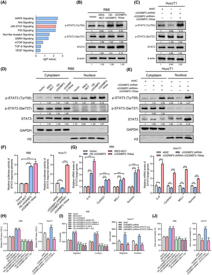 https://cdn.ncbi.nlm.nih.gov/pmc/blobs/8224/9306806/1cd5b8278f9f/HEP-75-1402-g001.jpg