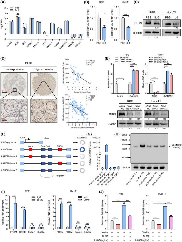 https://cdn.ncbi.nlm.nih.gov/pmc/blobs/8224/9306806/329a23675746/HEP-75-1402-g005.jpg