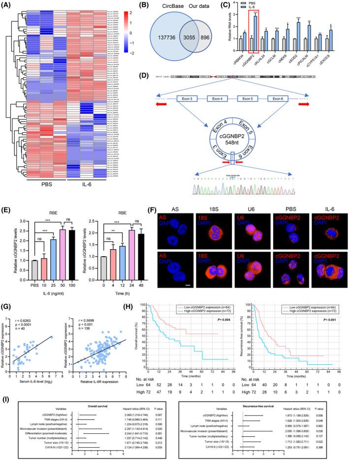 https://cdn.ncbi.nlm.nih.gov/pmc/blobs/8224/9306806/32a634d21bd8/HEP-75-1402-g006.jpg