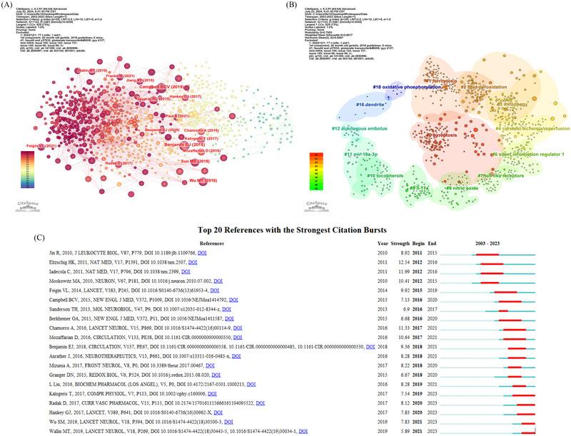 https://cdn.ncbi.nlm.nih.gov/pmc/blobs/8226/11959154/025d5279d98a/BRB3-15-e70445-g004.jpg