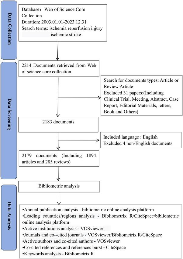 https://cdn.ncbi.nlm.nih.gov/pmc/blobs/8226/11959154/d10884cd09df/BRB3-15-e70445-g008.jpg