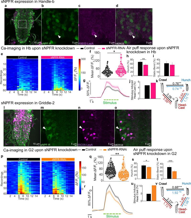 https://cdn.ncbi.nlm.nih.gov/pmc/blobs/8226/12405588/d6612b0bd96e/41467_2025_61805_Fig7_HTML.jpg