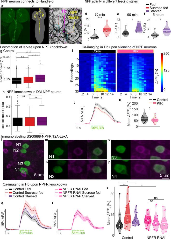 https://cdn.ncbi.nlm.nih.gov/pmc/blobs/8226/12405588/df84c7fc0e04/41467_2025_61805_Fig6_HTML.jpg