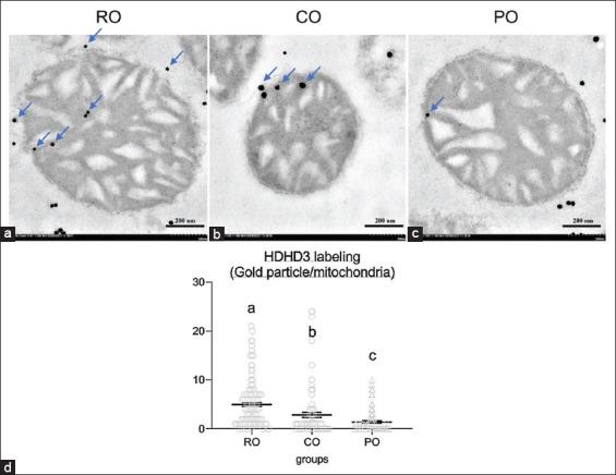 https://cdn.ncbi.nlm.nih.gov/pmc/blobs/8226/9178561/915459ad1970/Vetworld-15-986-g005.jpg