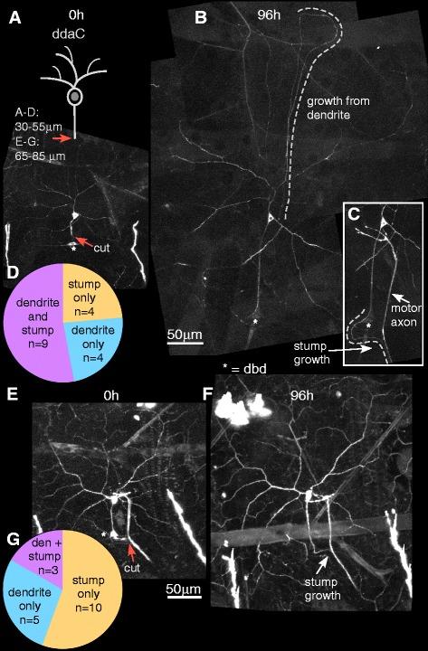 https://cdn.ncbi.nlm.nih.gov/pmc/blobs/822b/5561650/3aaa5d69e8ba/13064_2017_92_Fig6_HTML.jpg