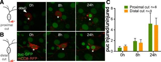 https://cdn.ncbi.nlm.nih.gov/pmc/blobs/822b/5561650/9262ad67c811/13064_2017_92_Fig7_HTML.jpg