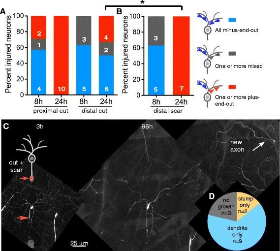 https://cdn.ncbi.nlm.nih.gov/pmc/blobs/822b/5561650/ceb1e63f9cf3/13064_2017_92_Fig8_HTML.jpg
