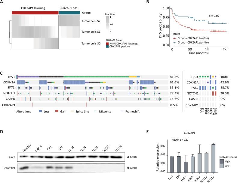 https://cdn.ncbi.nlm.nih.gov/pmc/blobs/822e/10202934/aa6f36929b52/41419_2023_5857_Fig1_HTML.jpg