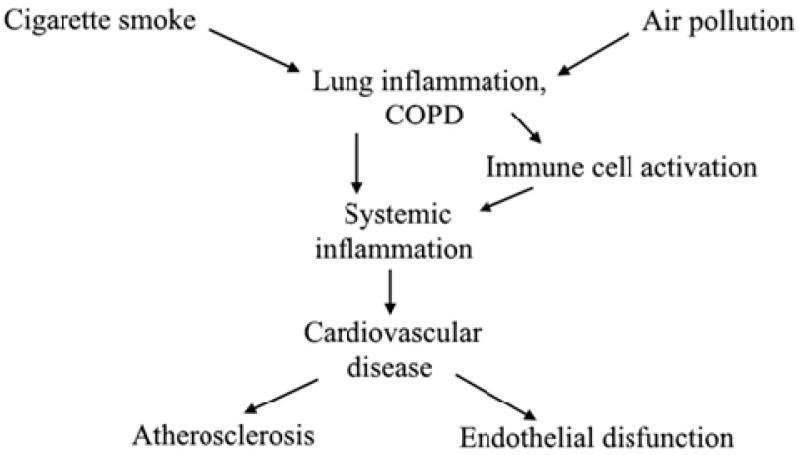 https://cdn.ncbi.nlm.nih.gov/pmc/blobs/822e/6770145/4c534cb91345/ijms-20-04329-g001.jpg