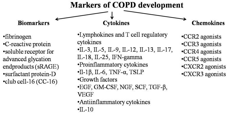 https://cdn.ncbi.nlm.nih.gov/pmc/blobs/822e/6770145/d241fb60dfbe/ijms-20-04329-g003.jpg
