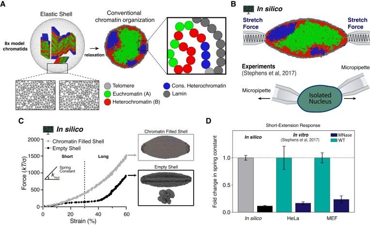 https://cdn.ncbi.nlm.nih.gov/pmc/blobs/822f/12359041/437ecf8d1a40/gkaf763fig1.jpg