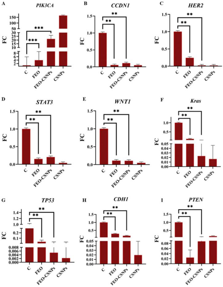 https://cdn.ncbi.nlm.nih.gov/pmc/blobs/8230/12030047/21e2496b31e3/pharmaceutics-17-00426-g016.jpg