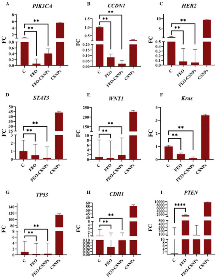 https://cdn.ncbi.nlm.nih.gov/pmc/blobs/8230/12030047/5d92d81d9c2a/pharmaceutics-17-00426-g013.jpg