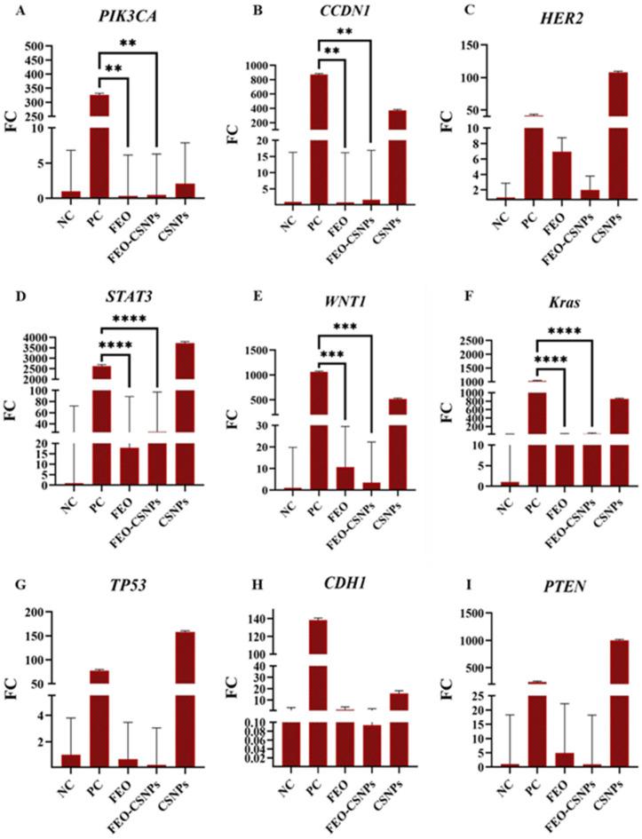 https://cdn.ncbi.nlm.nih.gov/pmc/blobs/8230/12030047/652d2fe7f2b2/pharmaceutics-17-00426-g017.jpg