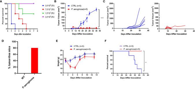 https://cdn.ncbi.nlm.nih.gov/pmc/blobs/8232/7908819/0b0219ff1562/fonc-10-610651-g001.jpg