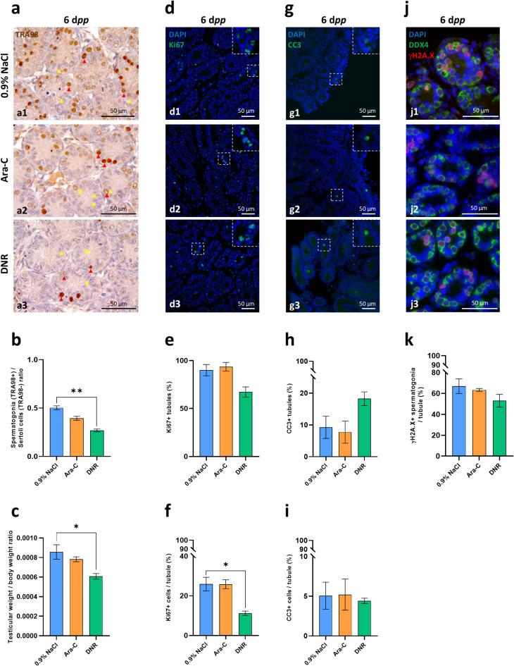 https://cdn.ncbi.nlm.nih.gov/pmc/blobs/8234/12022241/5748dc2b3705/41598_2025_98413_Fig1_HTML.jpg