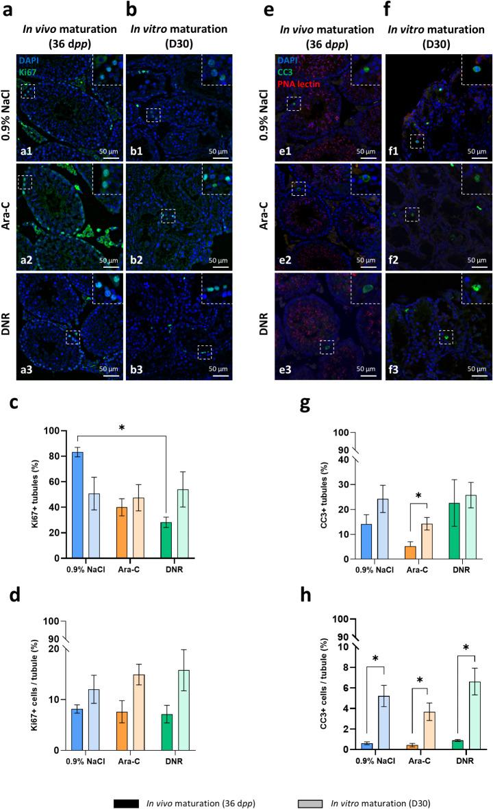 https://cdn.ncbi.nlm.nih.gov/pmc/blobs/8234/12022241/908271994a37/41598_2025_98413_Fig4_HTML.jpg