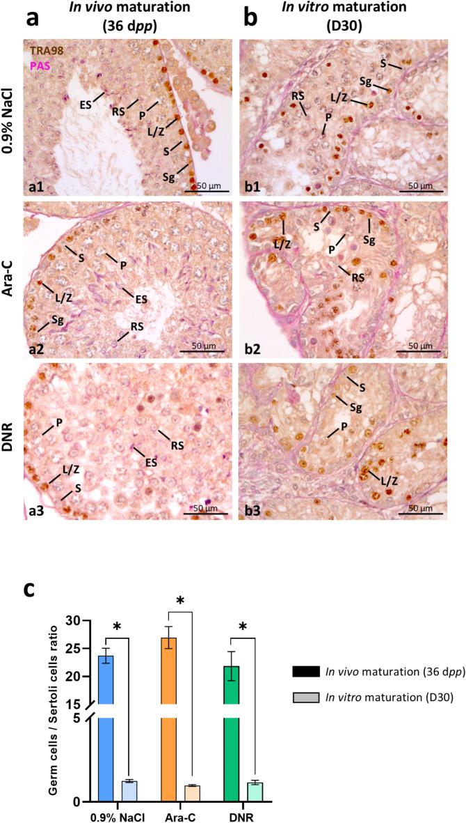 https://cdn.ncbi.nlm.nih.gov/pmc/blobs/8234/12022241/f1529b3d32b0/41598_2025_98413_Fig3_HTML.jpg
