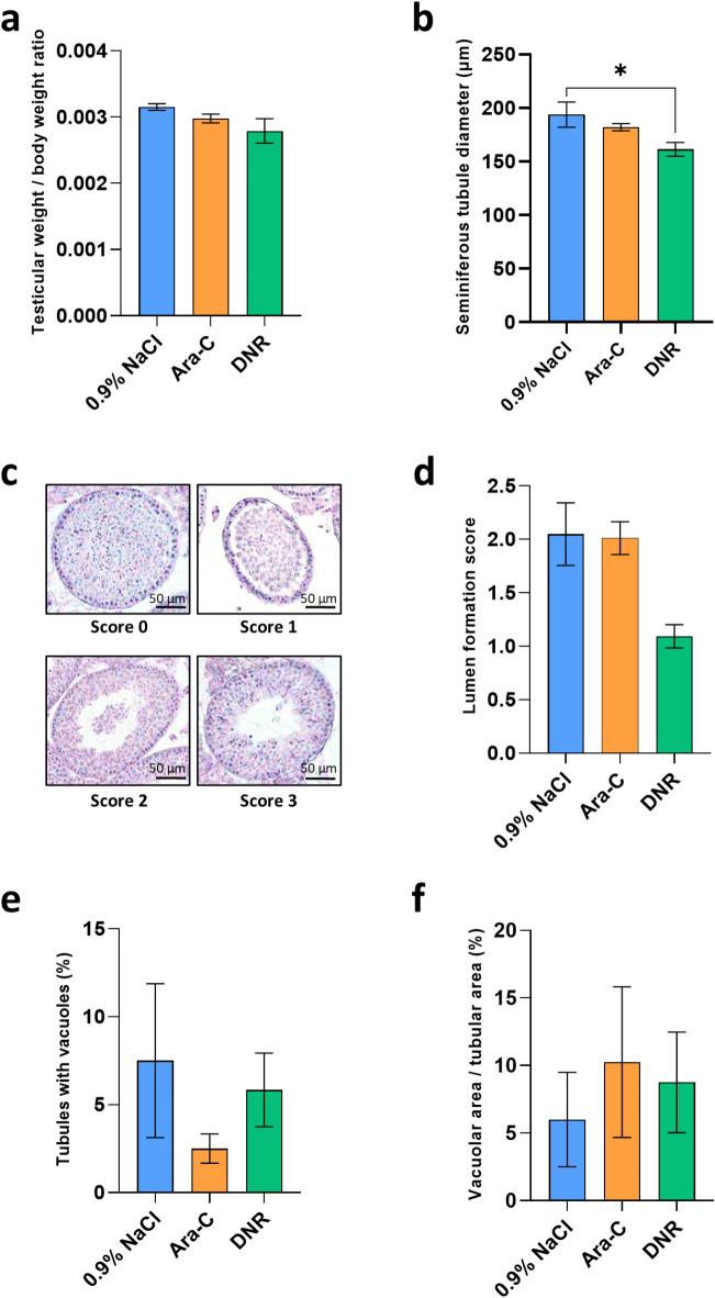 https://cdn.ncbi.nlm.nih.gov/pmc/blobs/8234/12022241/fe7ab084a6d0/41598_2025_98413_Fig2_HTML.jpg