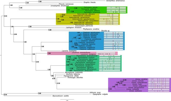 https://cdn.ncbi.nlm.nih.gov/pmc/blobs/8234/6467859/f1c322a28862/ECE3-9-4245-g001.jpg