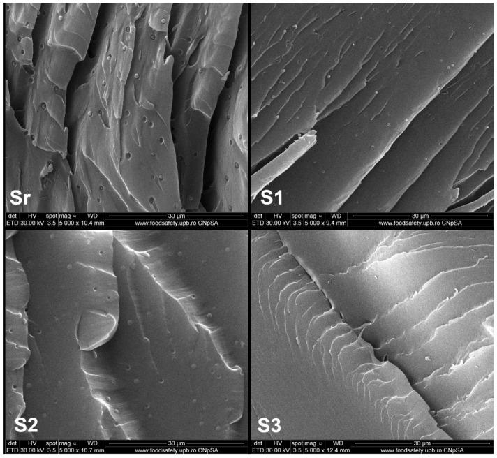 https://cdn.ncbi.nlm.nih.gov/pmc/blobs/8235/8588247/479f2e273dad/polymers-13-03792-g005.jpg