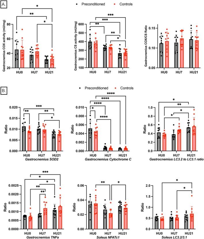 https://cdn.ncbi.nlm.nih.gov/pmc/blobs/8238/12227112/66837c5aa1a4/FSB2-39-e70759-g001.jpg