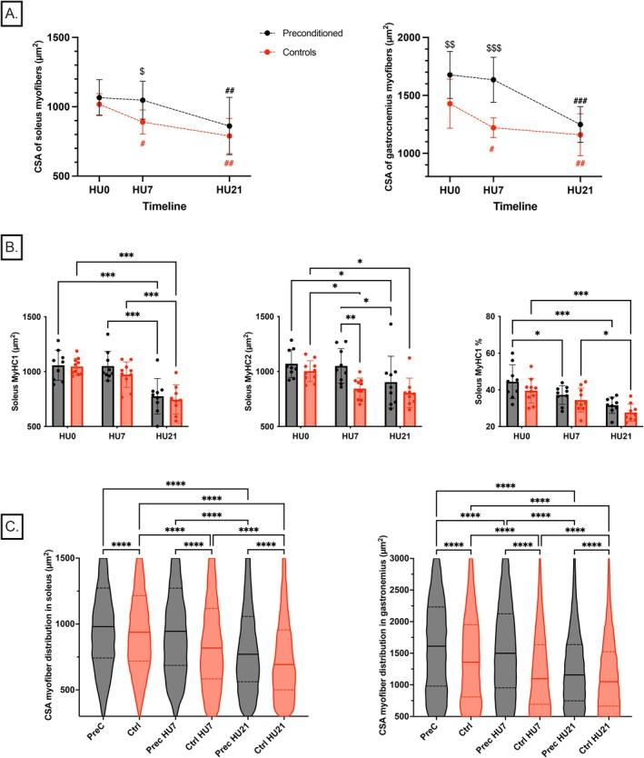 https://cdn.ncbi.nlm.nih.gov/pmc/blobs/8238/12227112/83bc284fd4ba/FSB2-39-e70759-g007.jpg