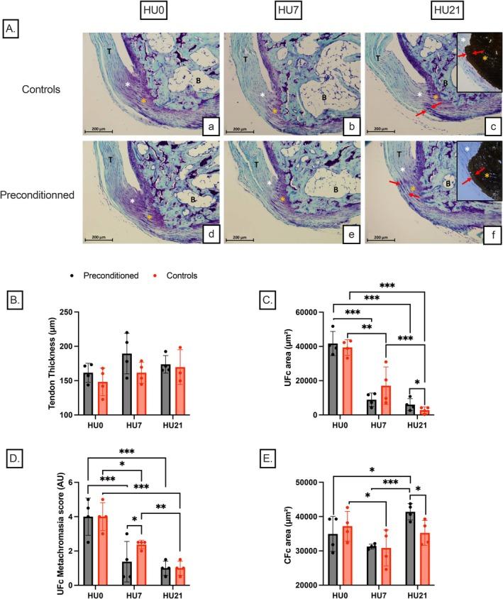 https://cdn.ncbi.nlm.nih.gov/pmc/blobs/8238/12227112/8c583967167d/FSB2-39-e70759-g008.jpg