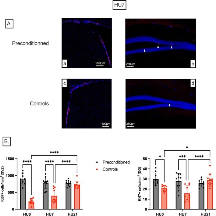 https://cdn.ncbi.nlm.nih.gov/pmc/blobs/8238/12227112/8e9ea4fac56f/FSB2-39-e70759-g005.jpg