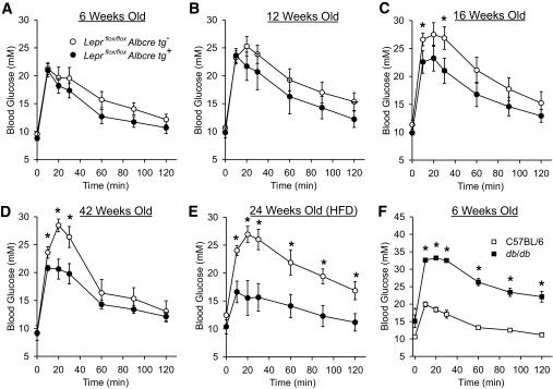 https://cdn.ncbi.nlm.nih.gov/pmc/blobs/8238/2992763/7b2be07fd2b1/zdb0121063840003.jpg