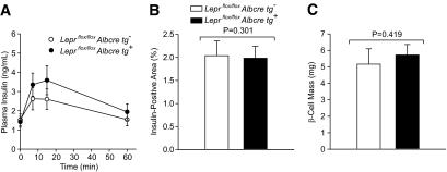 https://cdn.ncbi.nlm.nih.gov/pmc/blobs/8238/2992763/8a00a6559024/zdb0121063840004.jpg