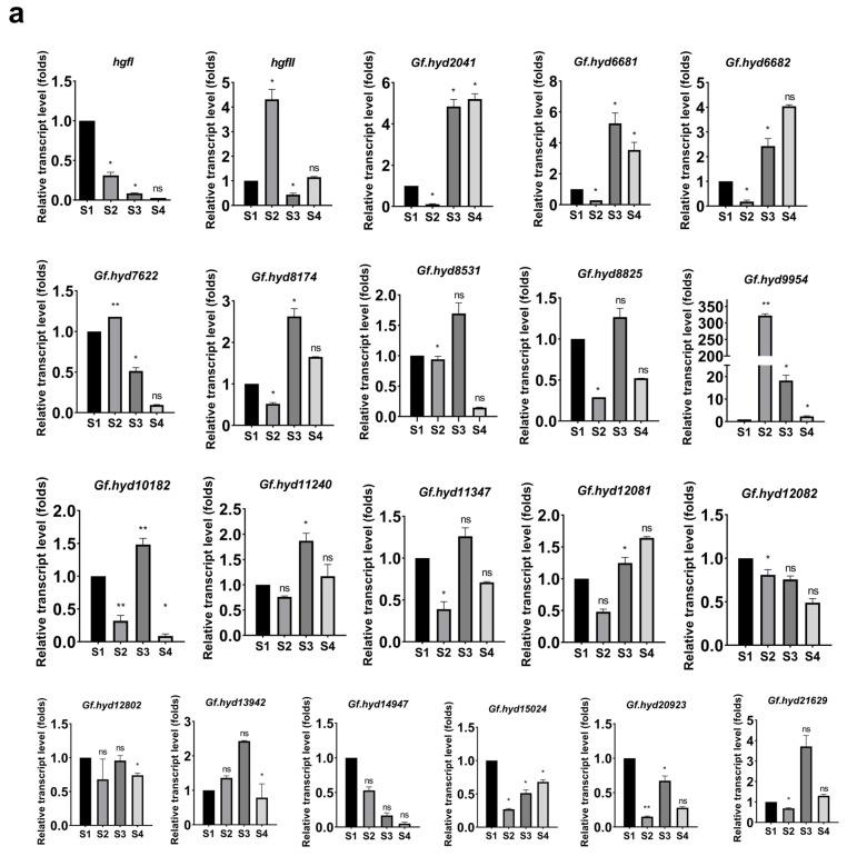 https://cdn.ncbi.nlm.nih.gov/pmc/blobs/823a/10820438/6e4b2d451860/jof-10-00025-g002a.jpg