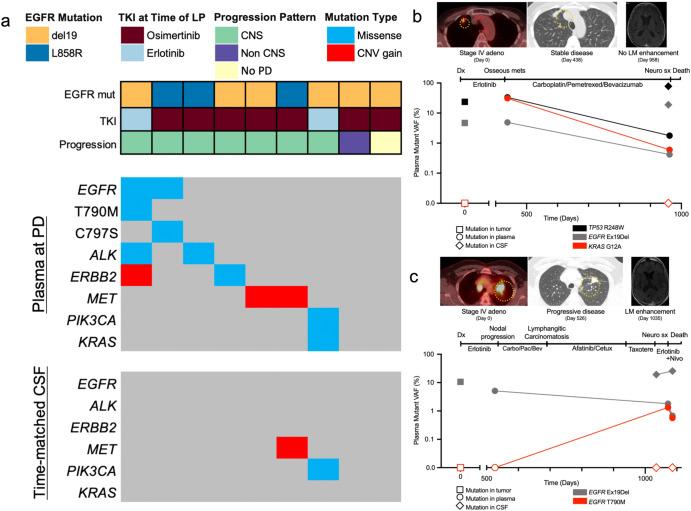 https://cdn.ncbi.nlm.nih.gov/pmc/blobs/823b/11133465/a45e2165f2d9/41698_2024_582_Fig5_HTML.jpg