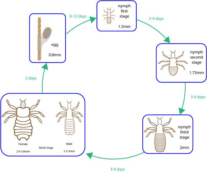 https://cdn.ncbi.nlm.nih.gov/pmc/blobs/823b/9090711/367104138bc9/11095_2022_3232_Fig4_HTML.jpg