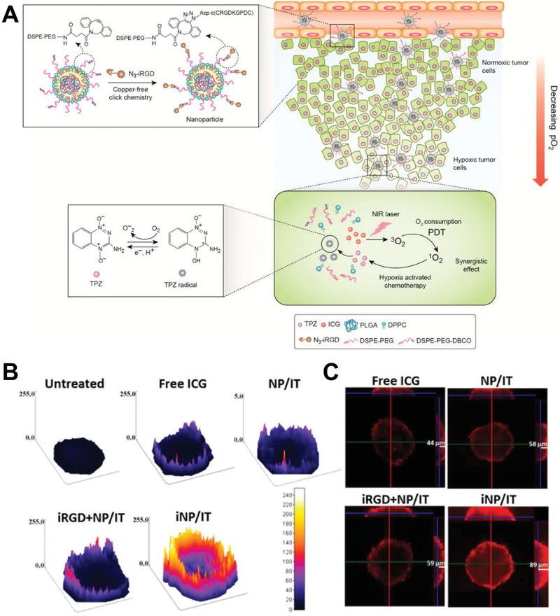 https://cdn.ncbi.nlm.nih.gov/pmc/blobs/823c/7788636/68a6ce32b9bb/ADVS-8-2002589-g010.jpg