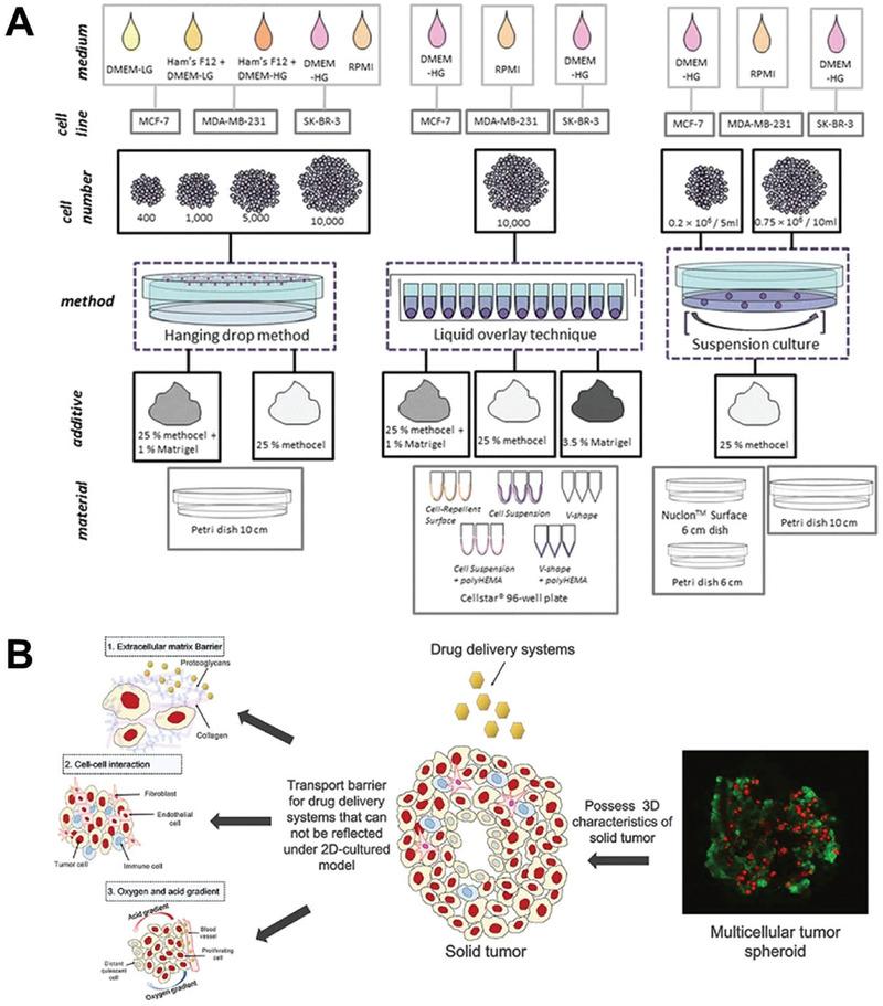 https://cdn.ncbi.nlm.nih.gov/pmc/blobs/823c/7788636/c0b6fd3baeb2/ADVS-8-2002589-g013.jpg