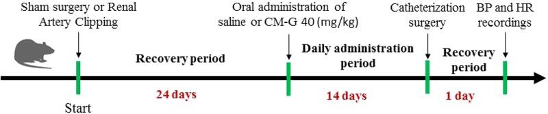 https://cdn.ncbi.nlm.nih.gov/pmc/blobs/823f/5974548/0d3e4e29c503/fphys-09-00607-g001.jpg