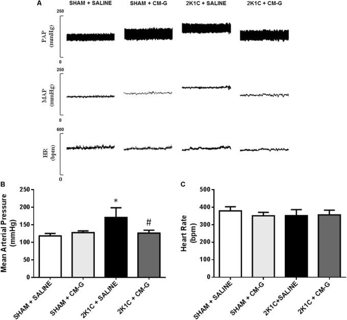 https://cdn.ncbi.nlm.nih.gov/pmc/blobs/823f/5974548/14bc4d2ac078/fphys-09-00607-g002.jpg