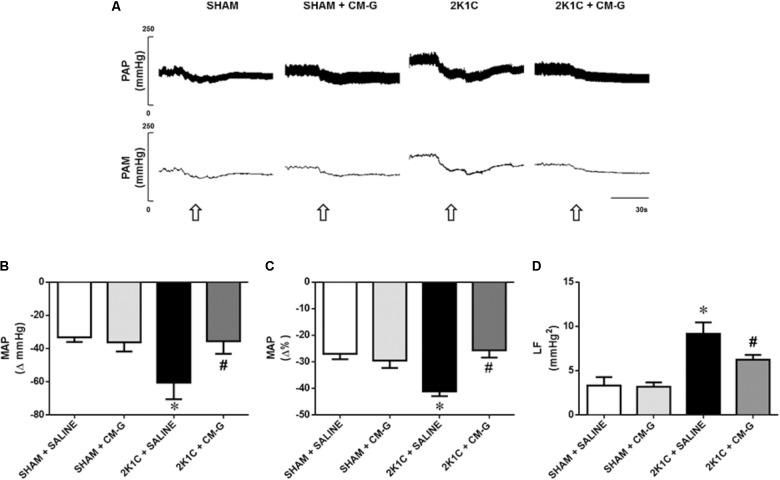 https://cdn.ncbi.nlm.nih.gov/pmc/blobs/823f/5974548/5b838a670390/fphys-09-00607-g004.jpg