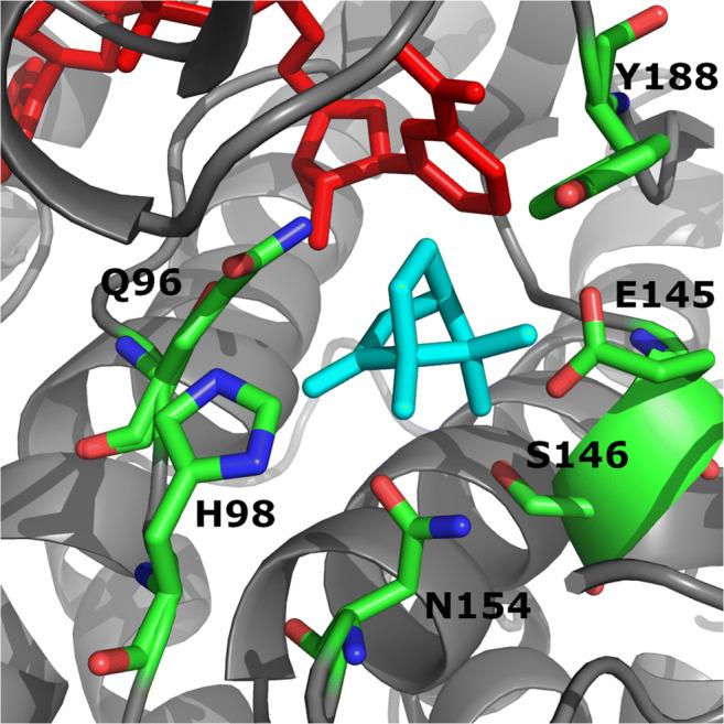 https://cdn.ncbi.nlm.nih.gov/pmc/blobs/8242/8053192/2007f335edf2/253_2021_11239_Fig4_HTML.jpg
