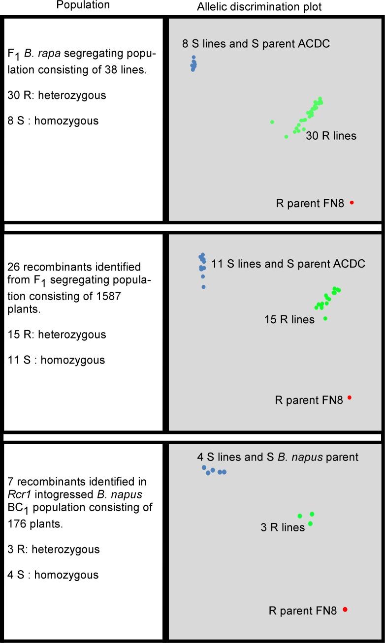 https://cdn.ncbi.nlm.nih.gov/pmc/blobs/8243/4831815/66168d141821/pone.0153218.g006.jpg