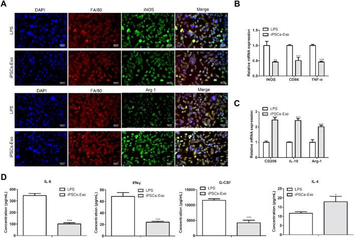 https://cdn.ncbi.nlm.nih.gov/pmc/blobs/8244/9871459/772d6a3df543/fphar-13-1078761-g003.jpg