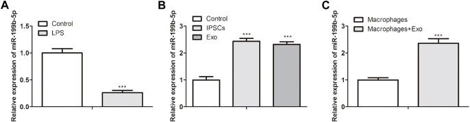 https://cdn.ncbi.nlm.nih.gov/pmc/blobs/8244/9871459/847bdf876c78/fphar-13-1078761-g004.jpg