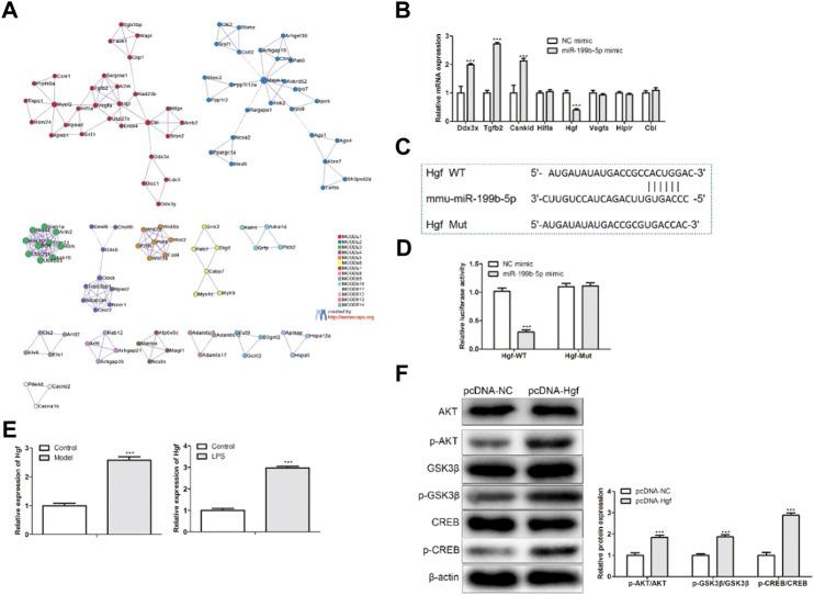 https://cdn.ncbi.nlm.nih.gov/pmc/blobs/8244/9871459/97e70ebe579c/fphar-13-1078761-g006.jpg