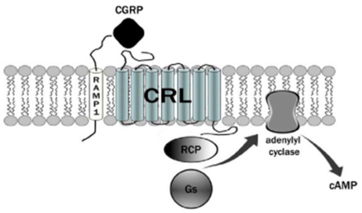 https://cdn.ncbi.nlm.nih.gov/pmc/blobs/8245/10820088/c2f4ecc0c9d1/medicina-60-00163-g001.jpg