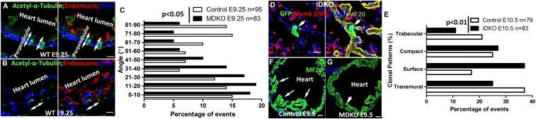 https://cdn.ncbi.nlm.nih.gov/pmc/blobs/8246/6681736/0610740a7e28/pnas.1904684116fig02.jpg